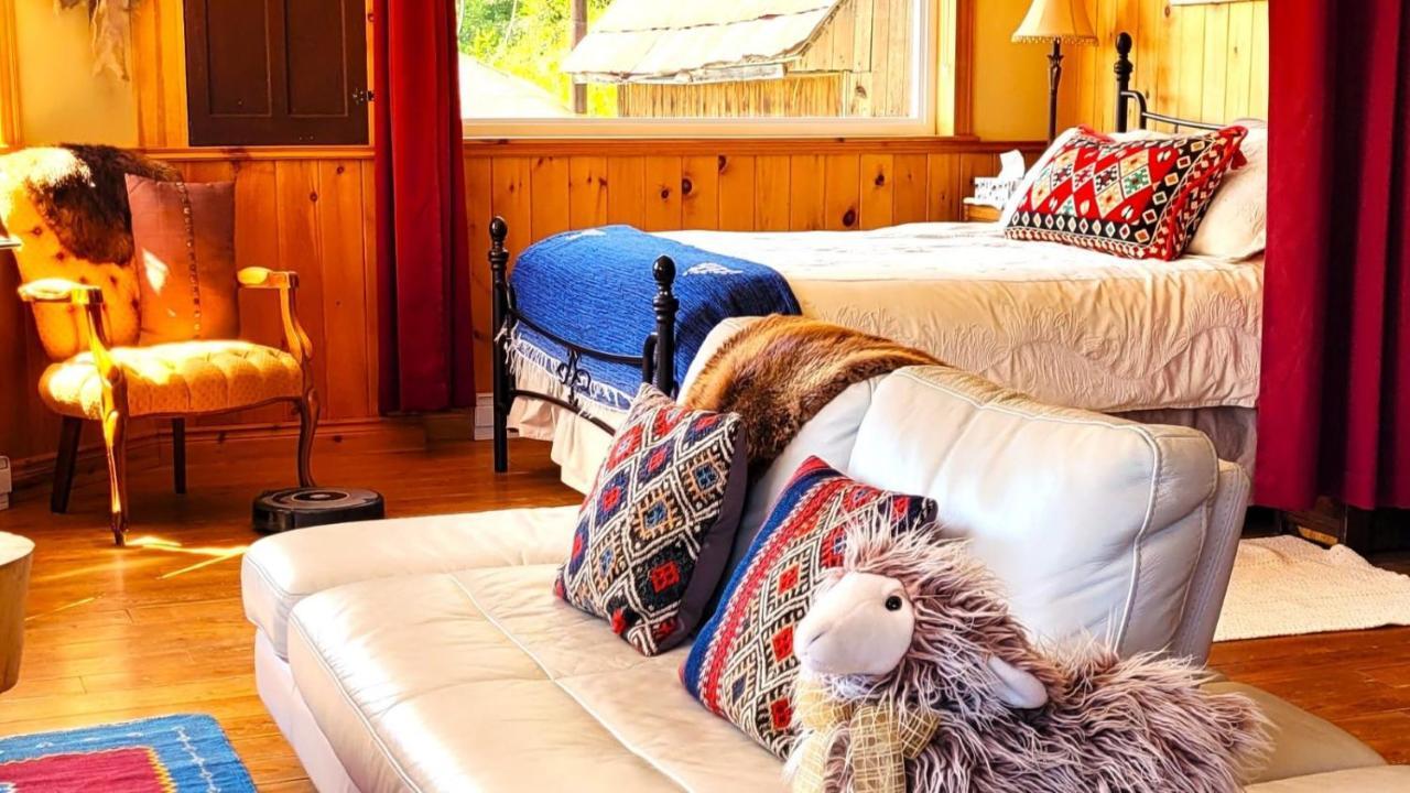 La Vieille Ferme, Ecogite Saint-Fulgence Eksteriør billede