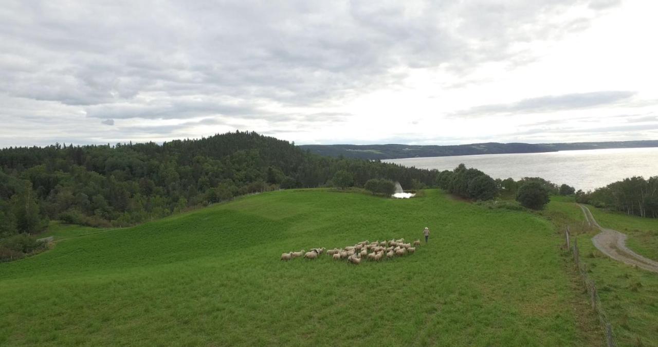 La Vieille Ferme, Ecogite Saint-Fulgence Eksteriør billede