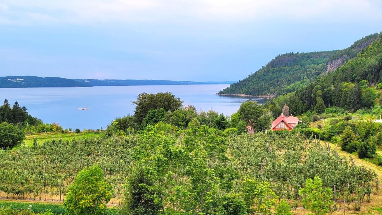 La Vieille Ferme, Ecogite Saint-Fulgence Eksteriør billede