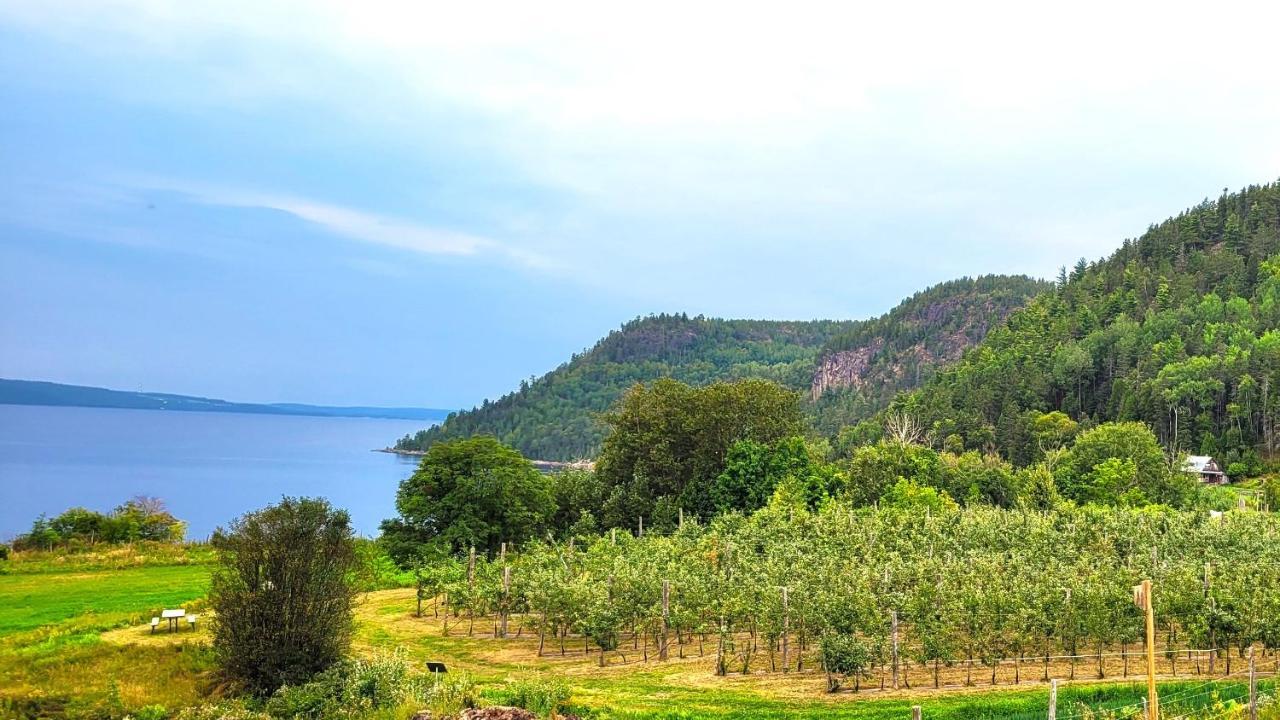 La Vieille Ferme, Ecogite Saint-Fulgence Eksteriør billede