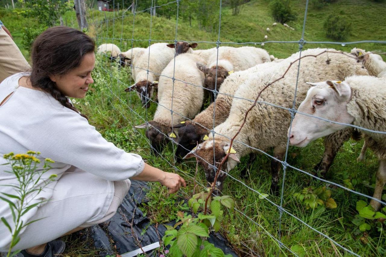 La Vieille Ferme, Ecogite Saint-Fulgence Eksteriør billede
