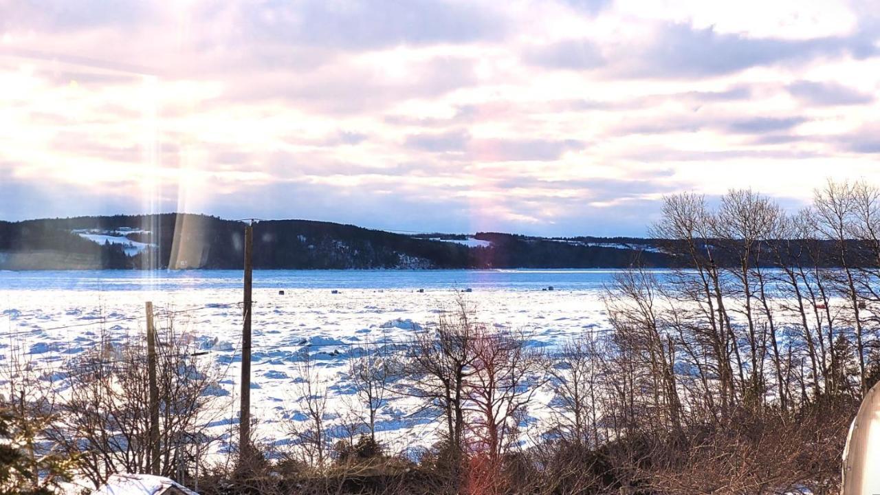 La Vieille Ferme, Ecogite Saint-Fulgence Eksteriør billede