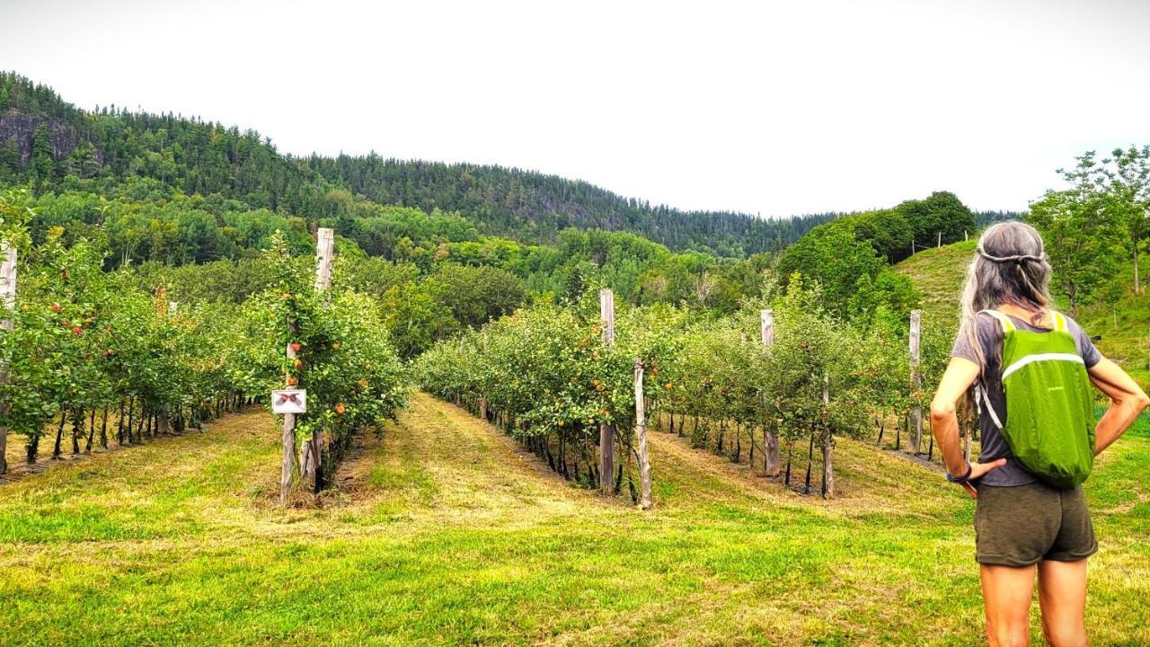 La Vieille Ferme, Ecogite Saint-Fulgence Eksteriør billede
