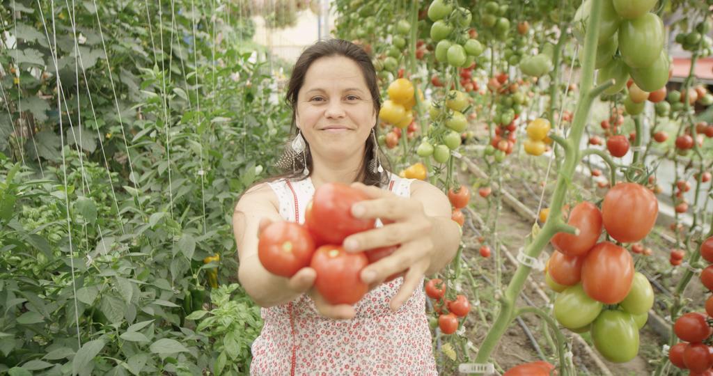 La Vieille Ferme, Ecogite Saint-Fulgence Eksteriør billede