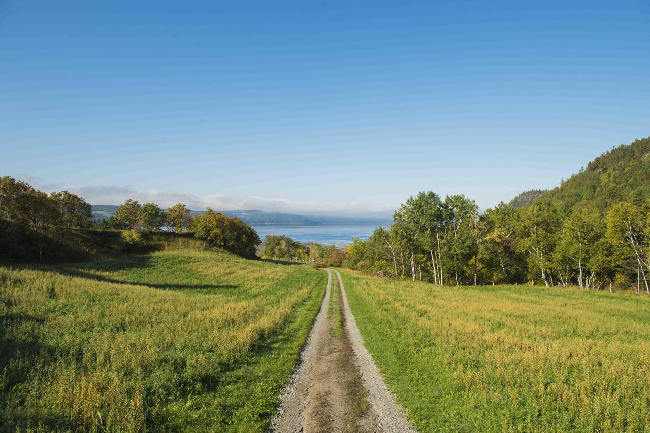 La Vieille Ferme, Ecogite Saint-Fulgence Eksteriør billede